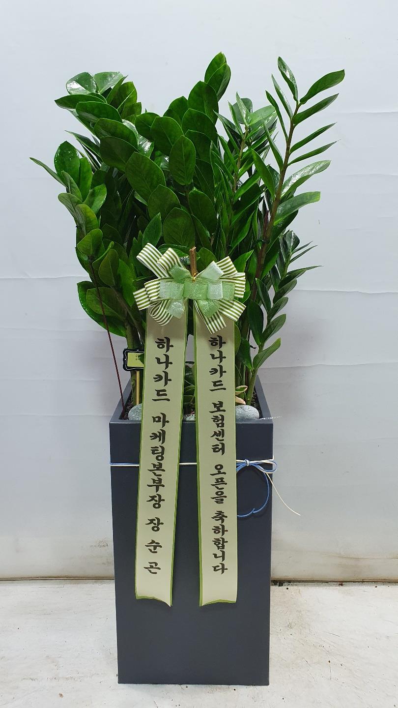 배송사진2