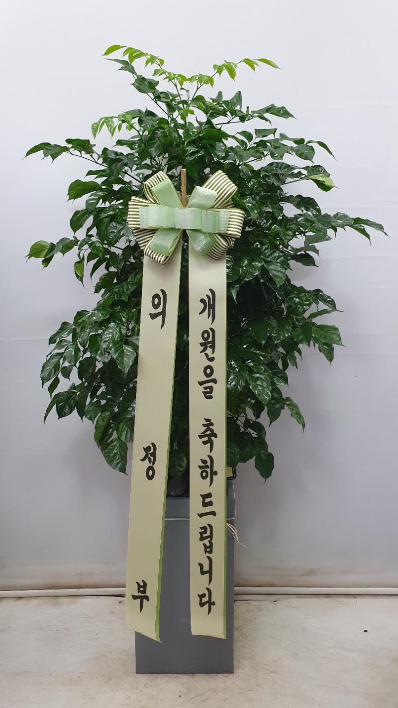 배송사진2