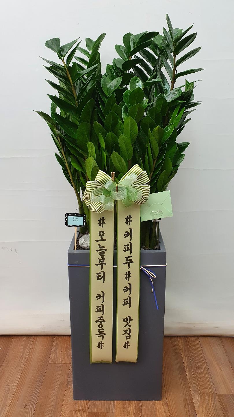 배송사진2
