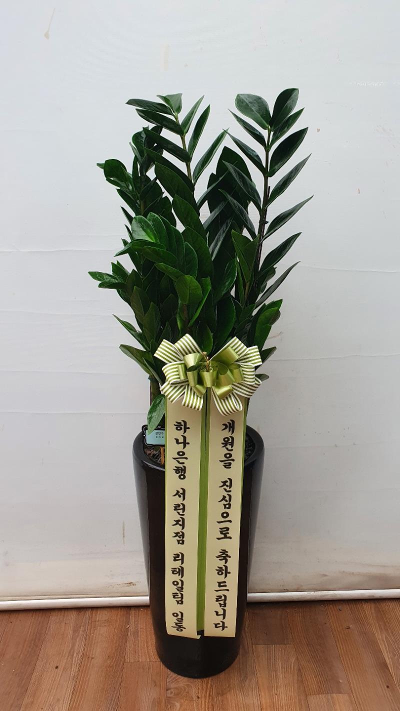 배송사진2