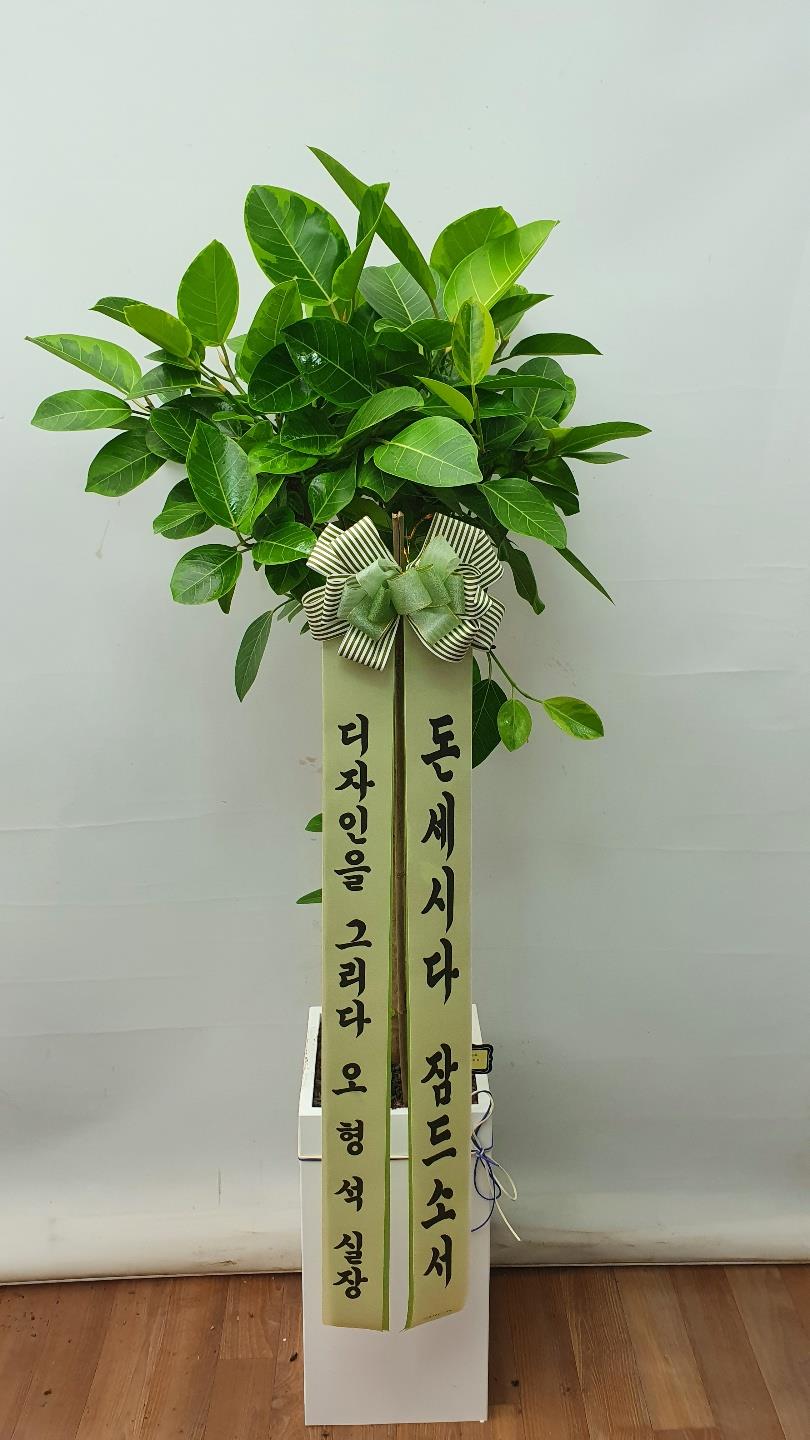 배송사진2