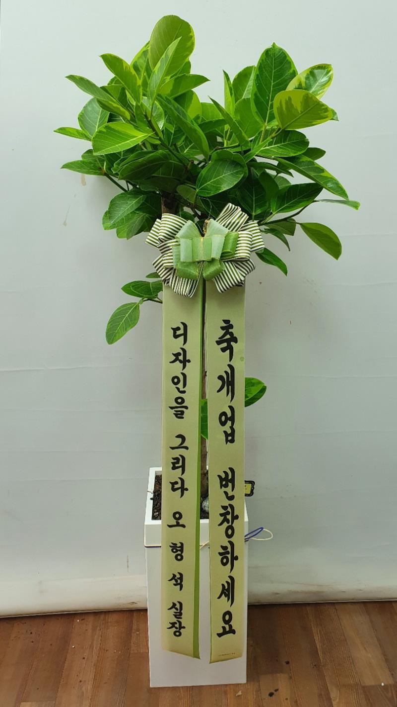 배송사진2