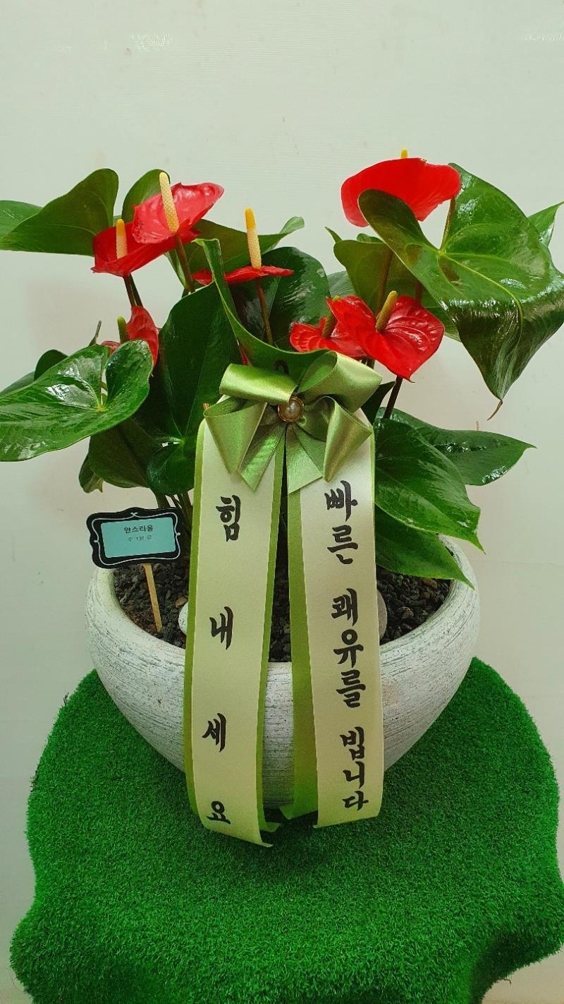 배송사진