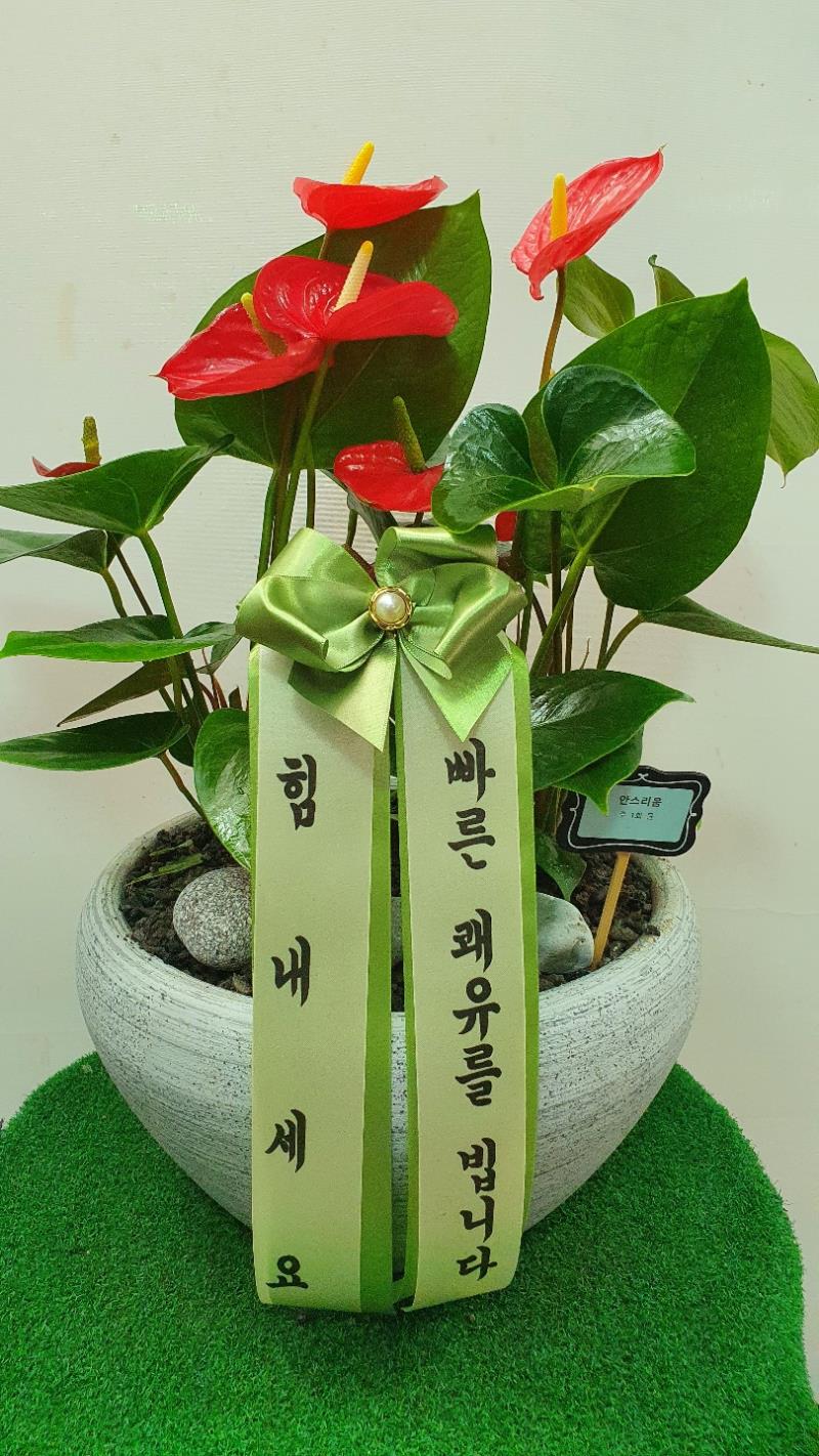 배송사진