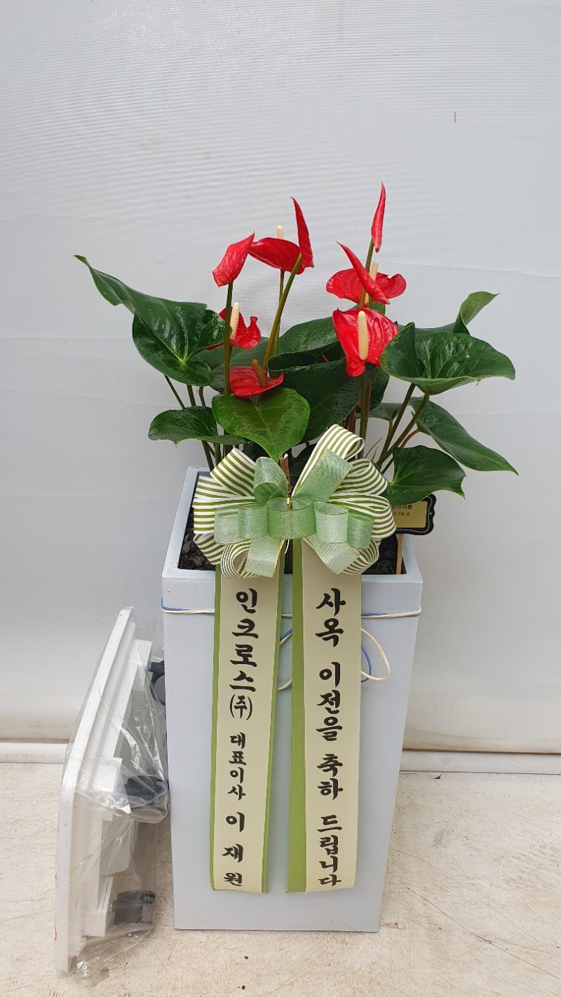 배송사진