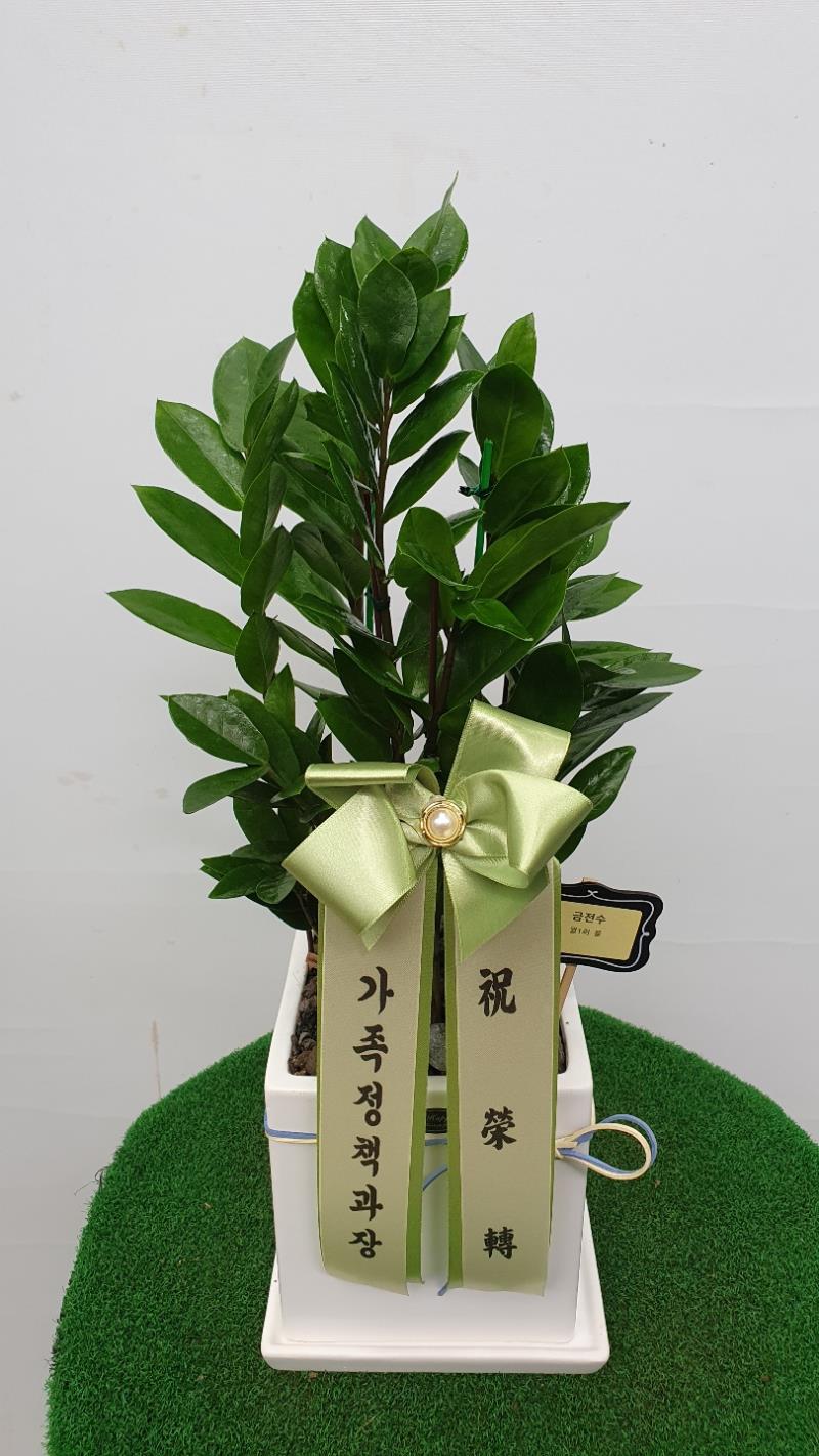 배송사진2