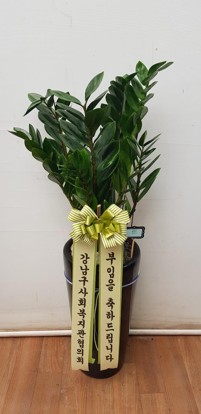 배송사진2