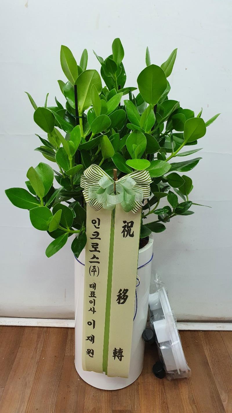 배송사진