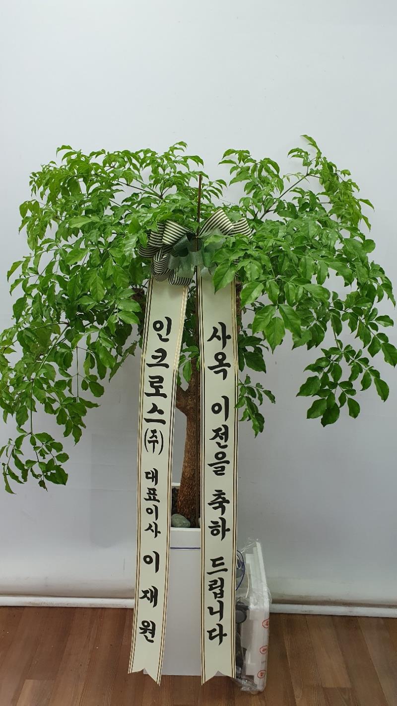 배송사진