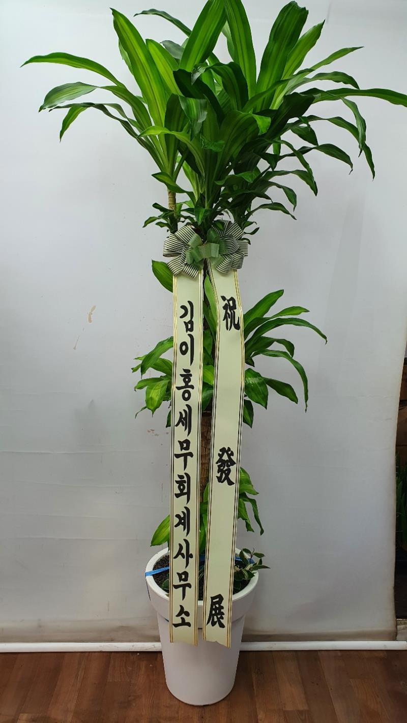 배송사진2