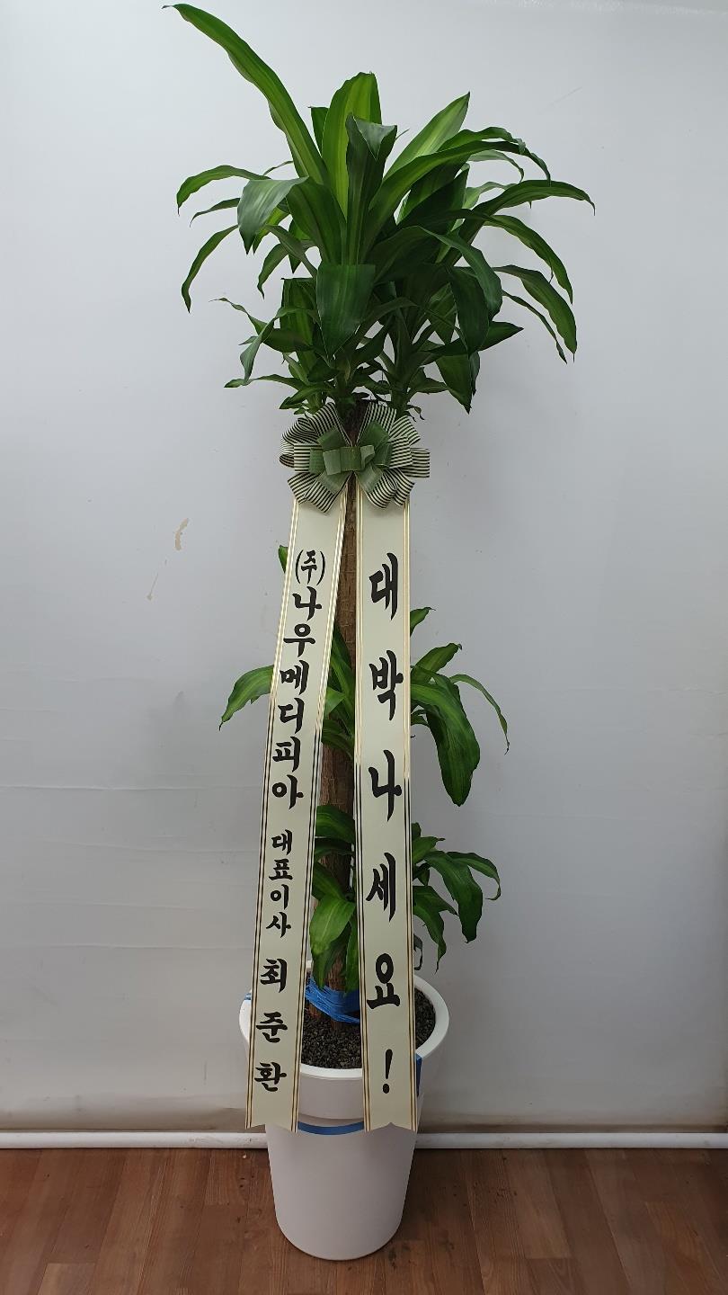 배송사진2