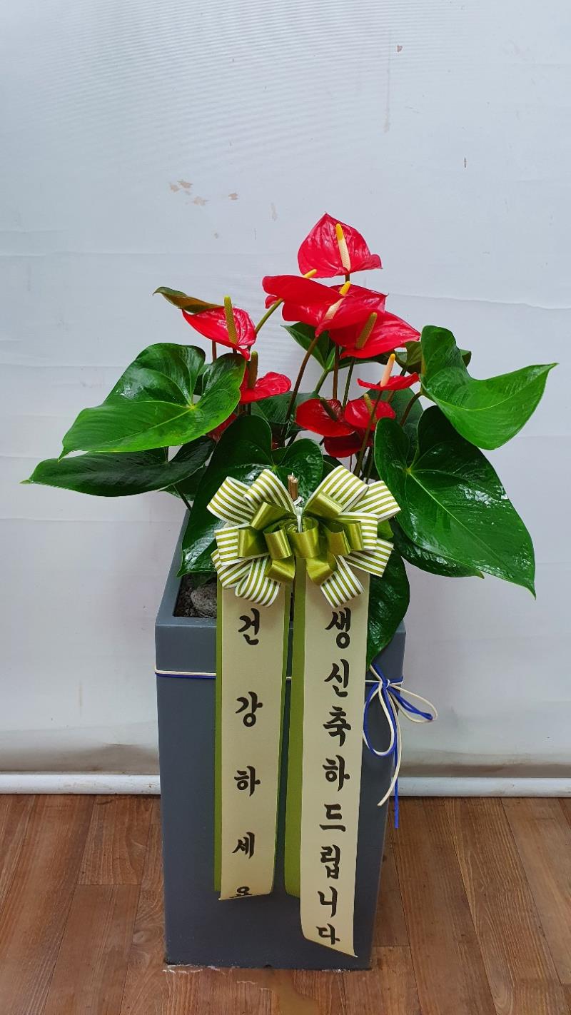 배송사진