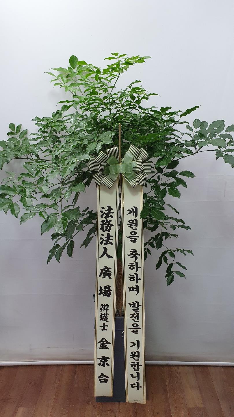 배송사진2