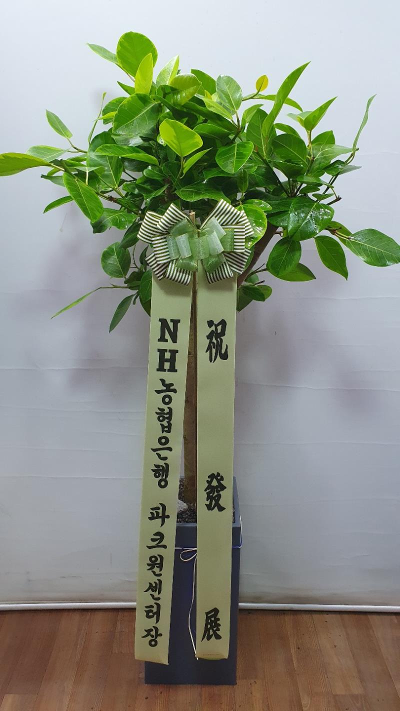 배송사진2