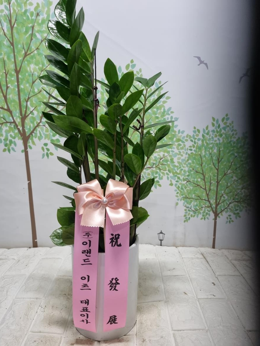 배송사진2