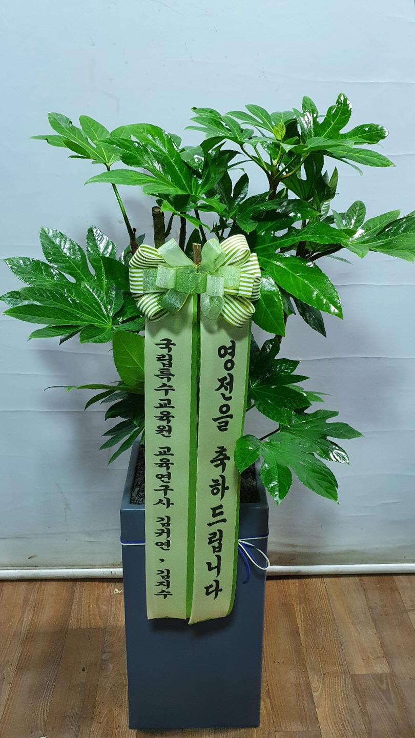 배송사진2