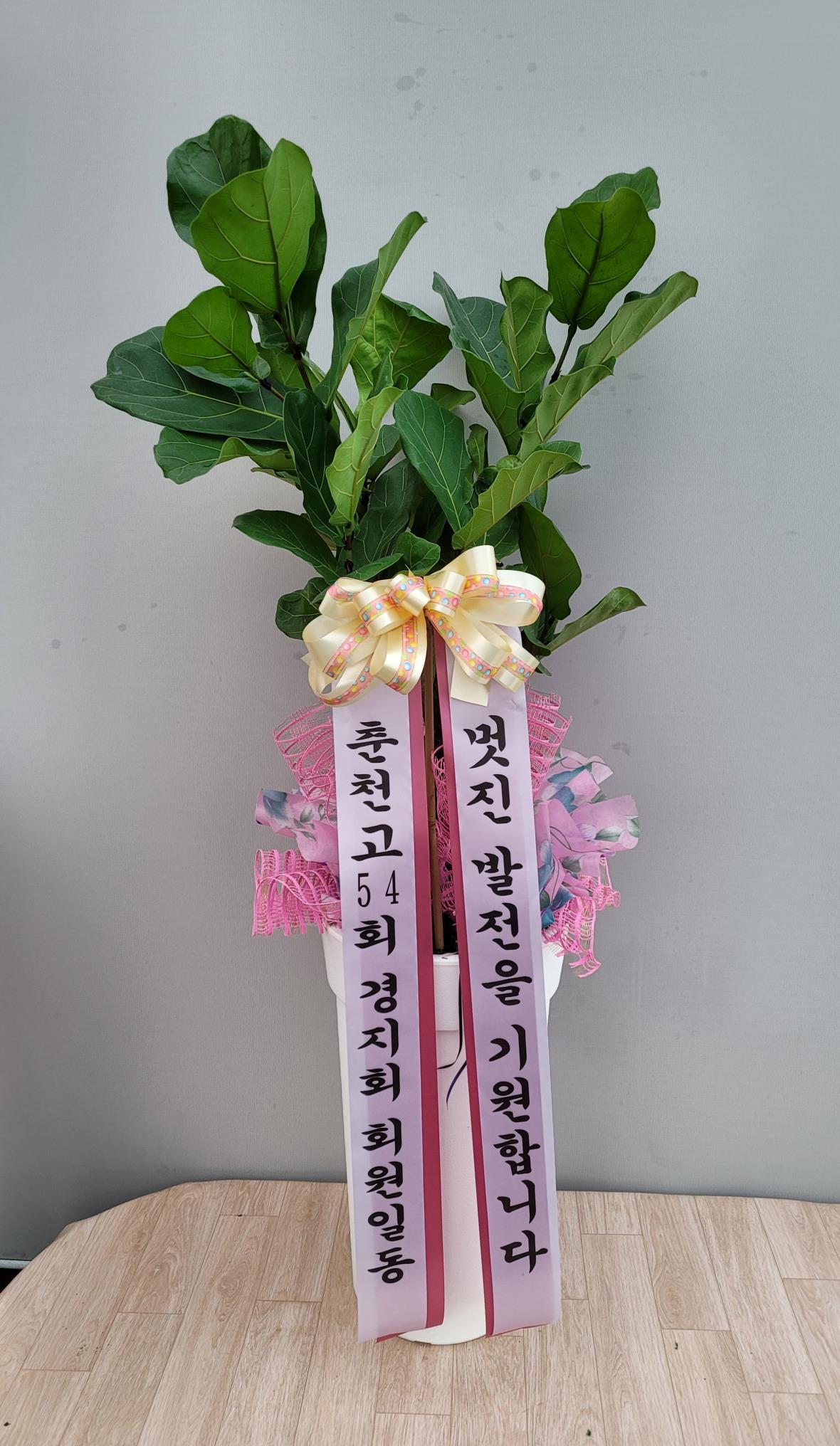 배송사진2