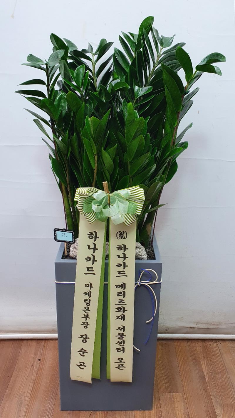 배송사진2
