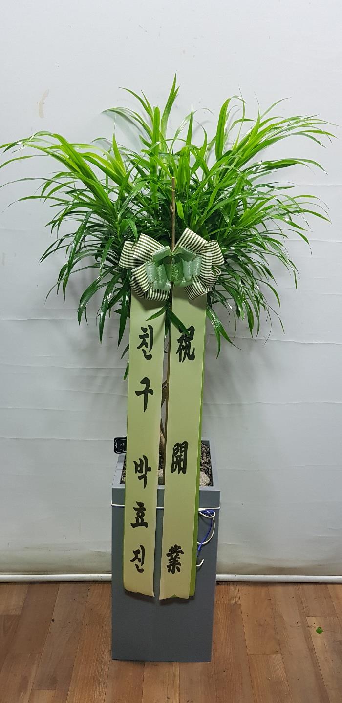 배송사진2
