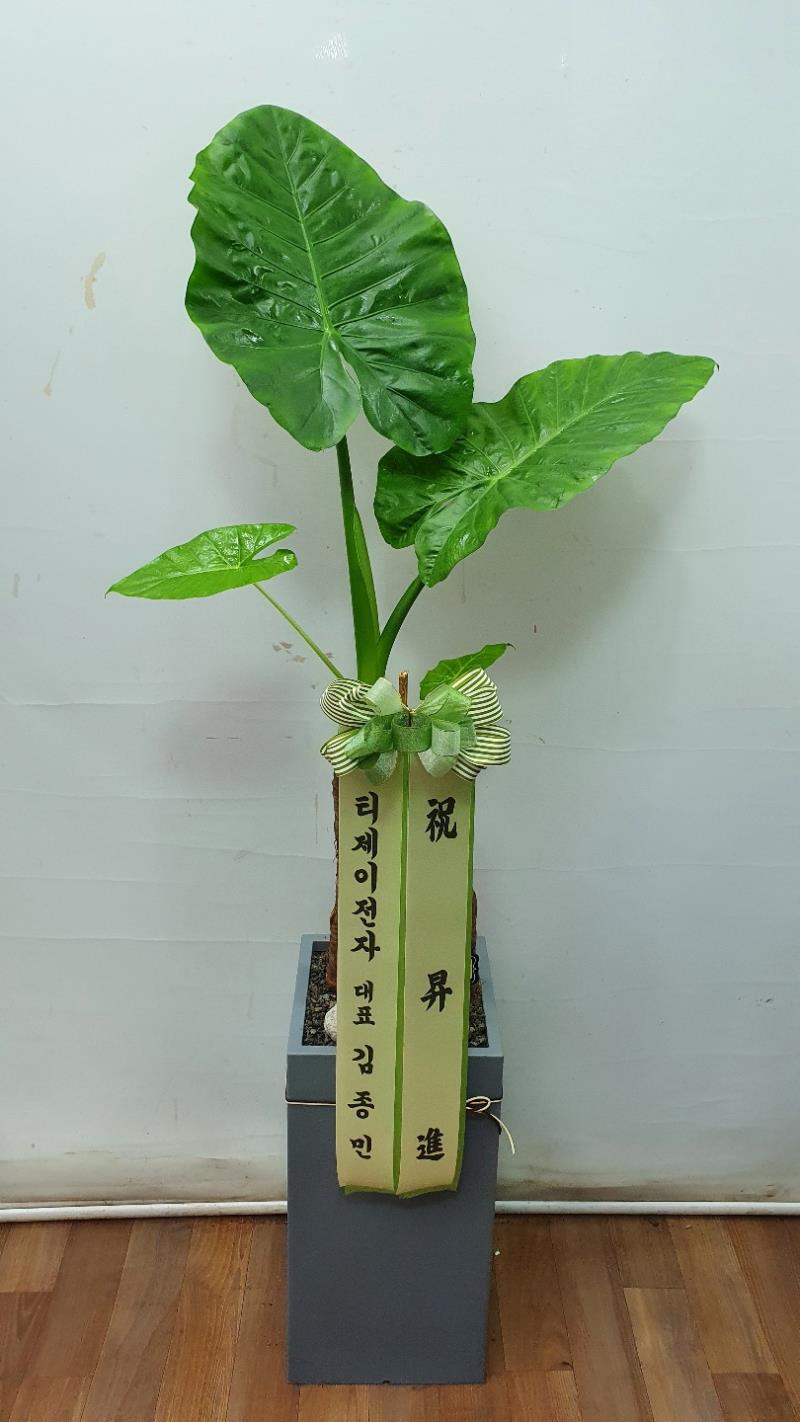 배송사진2