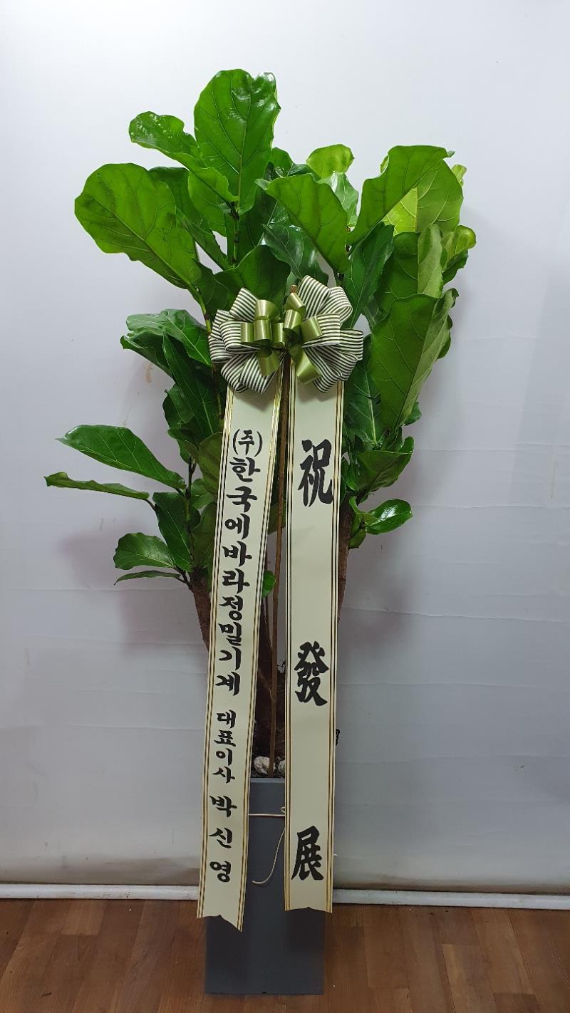 배송사진