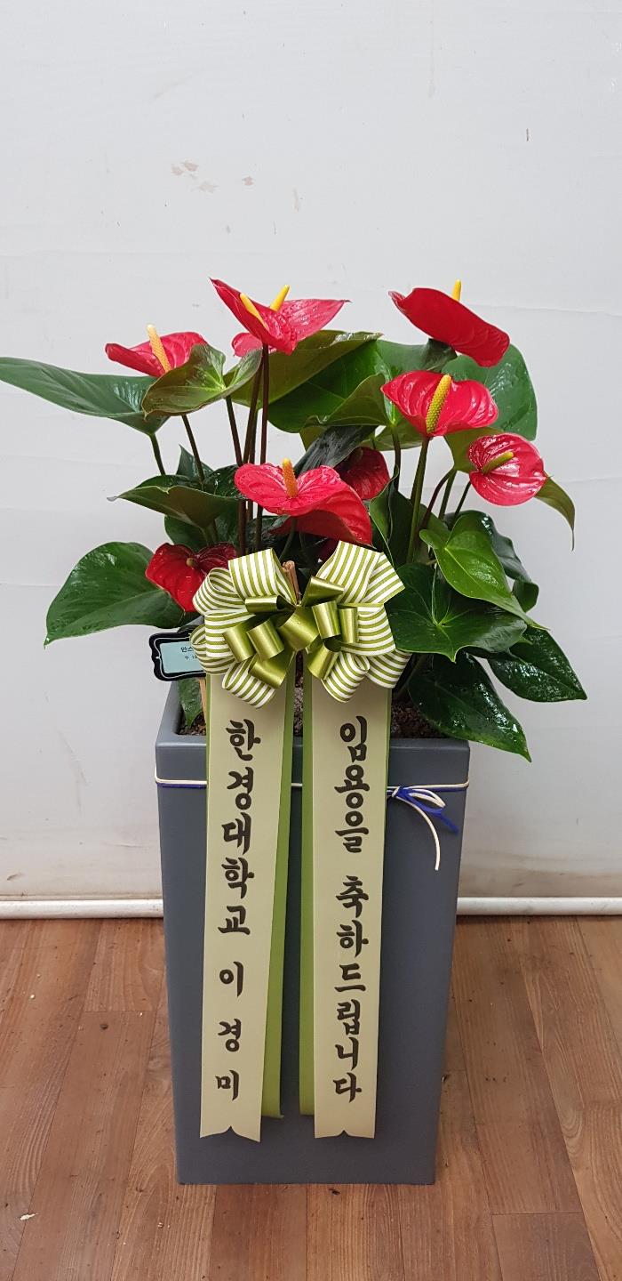 배송사진2