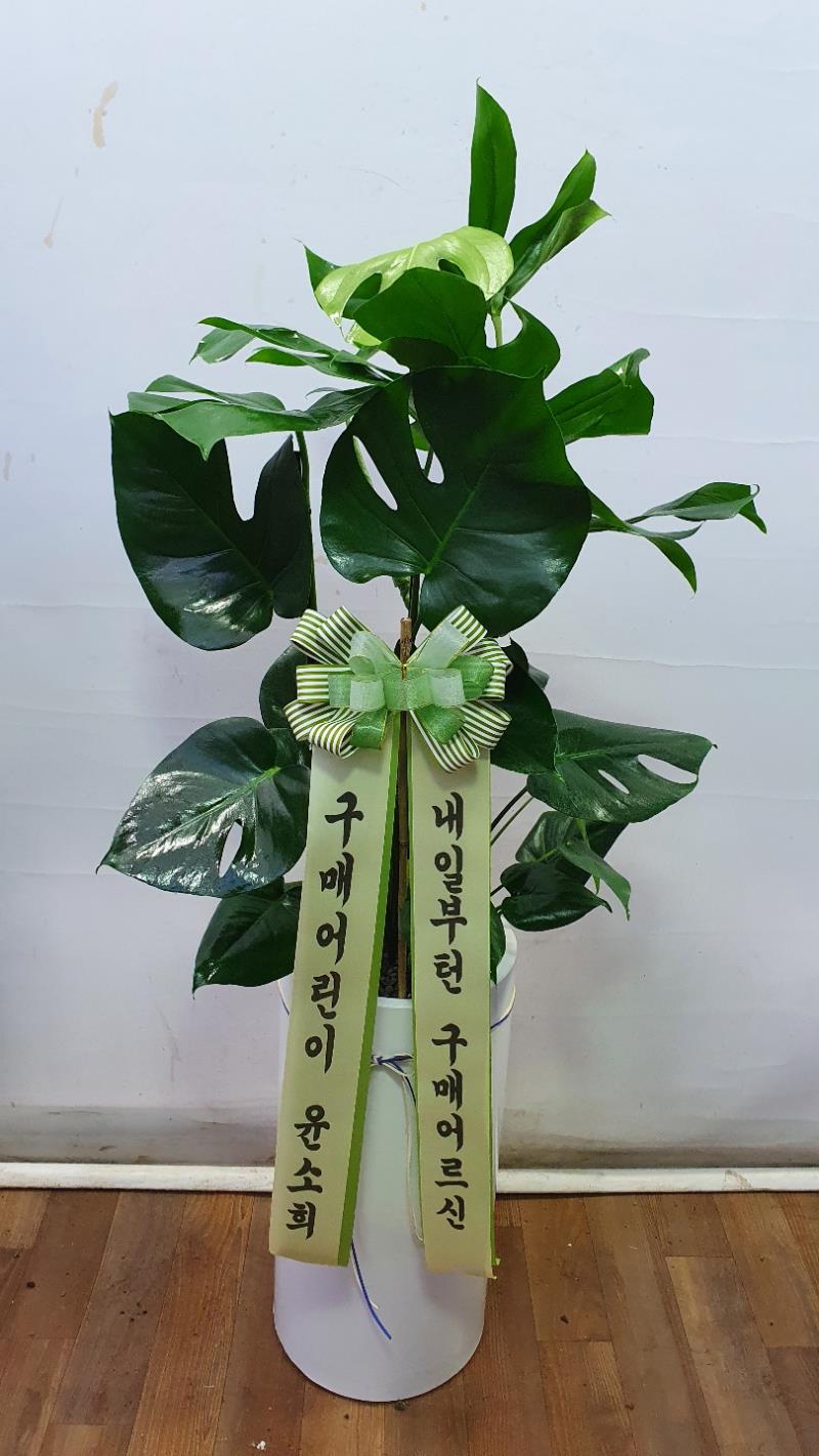 배송사진