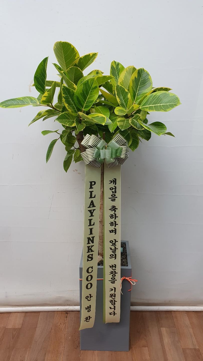 배송사진2