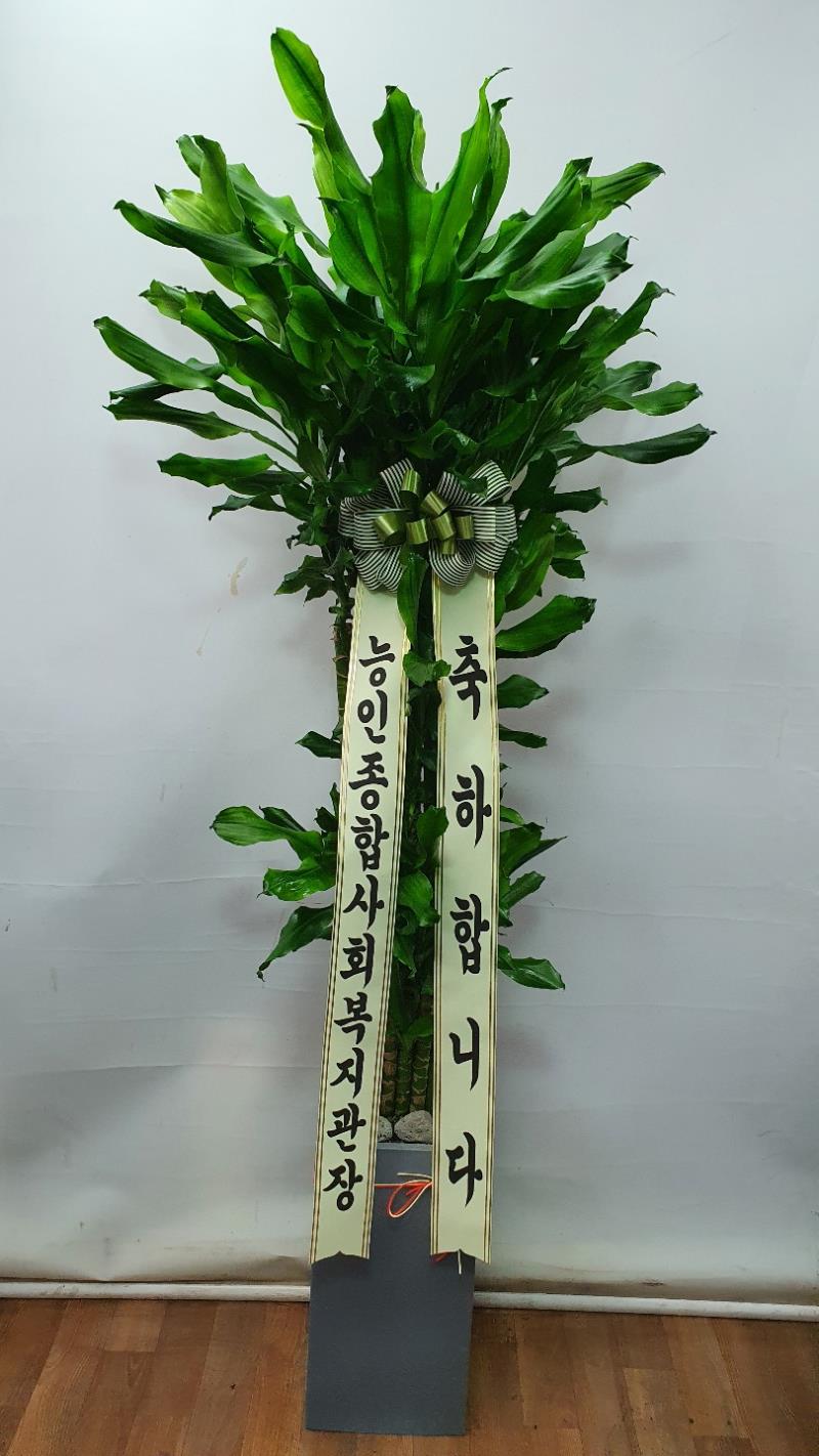 배송사진2