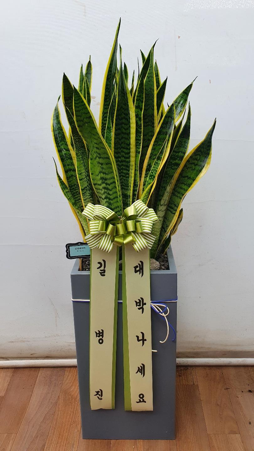 배송사진2