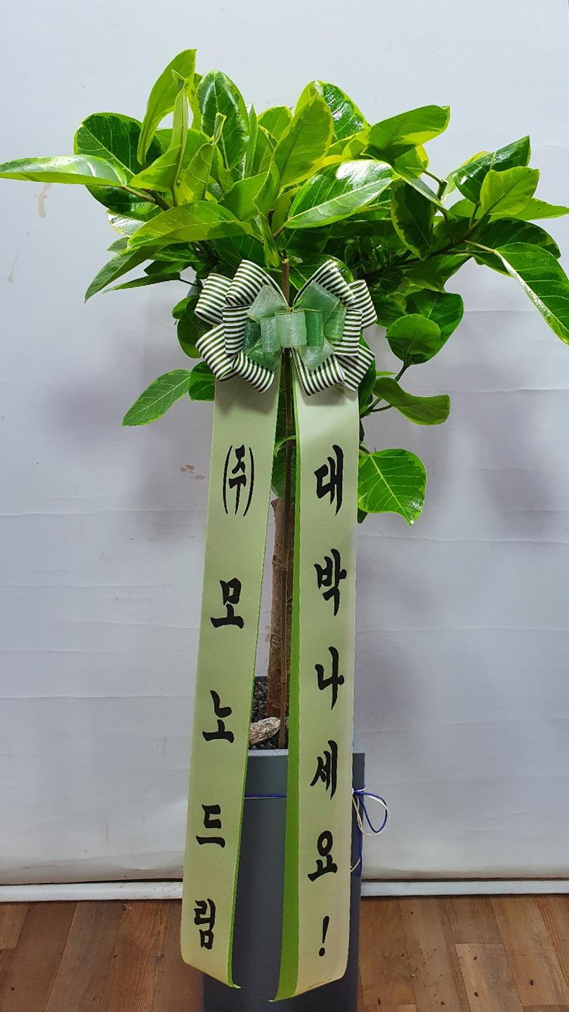 배송사진2