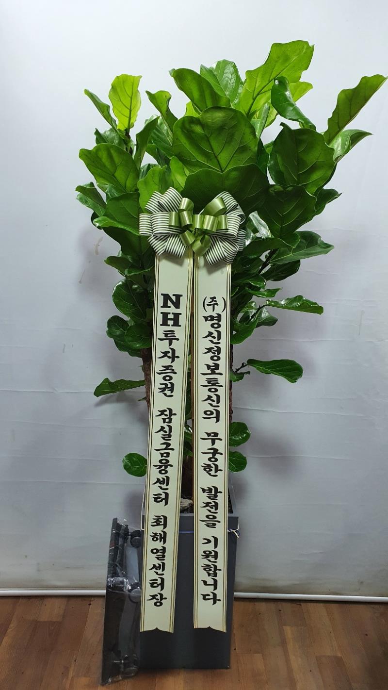 배송사진