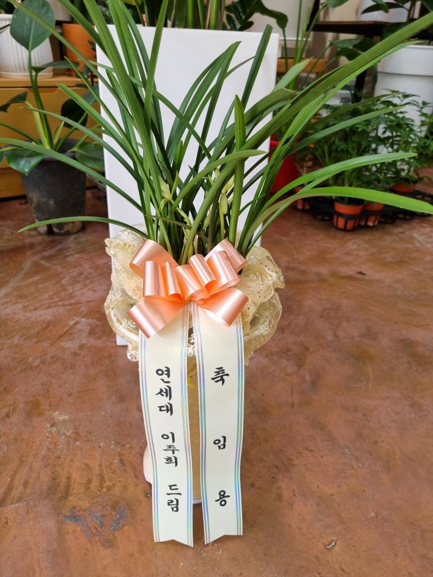 배송사진2