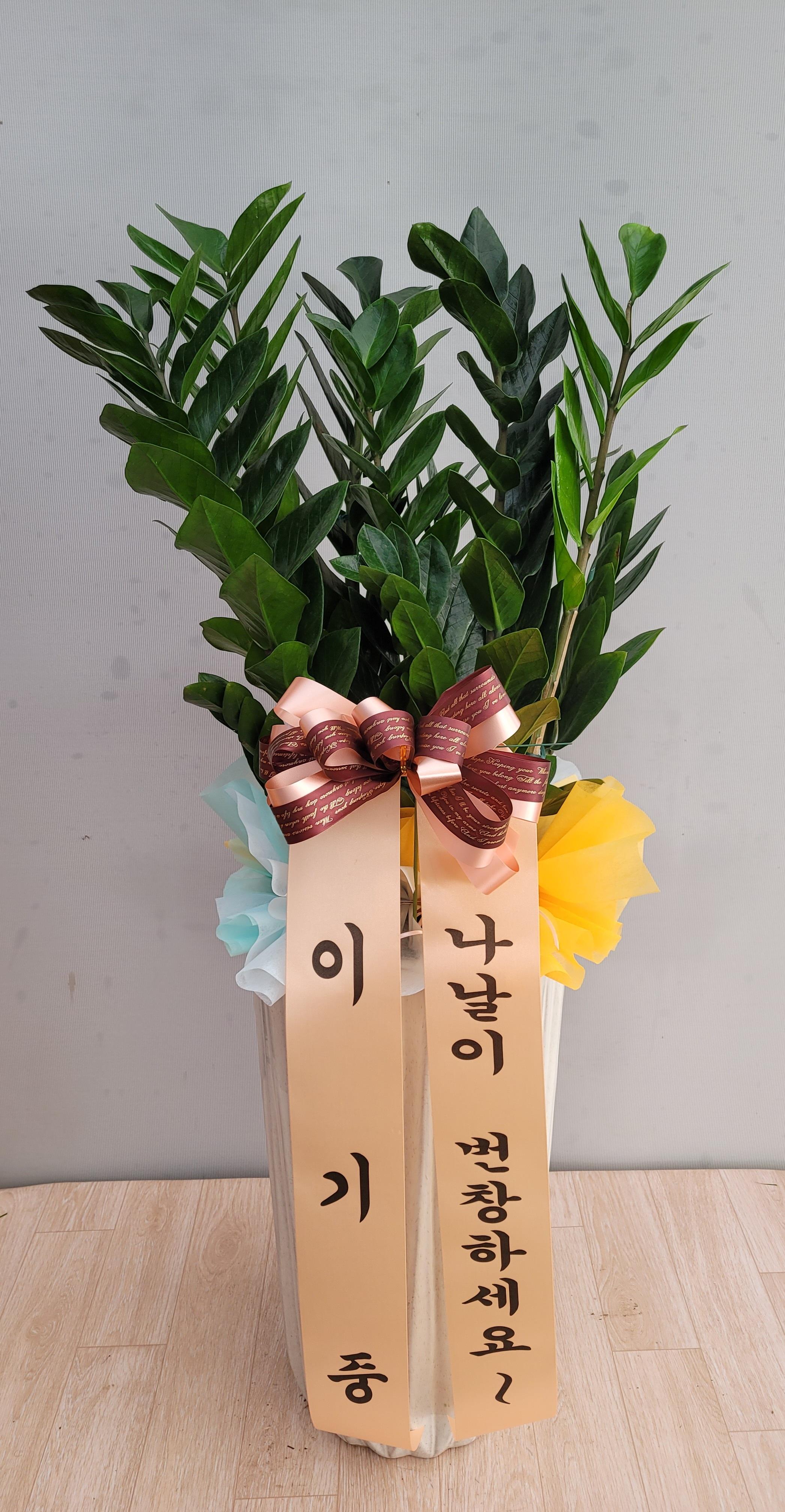 배송사진2