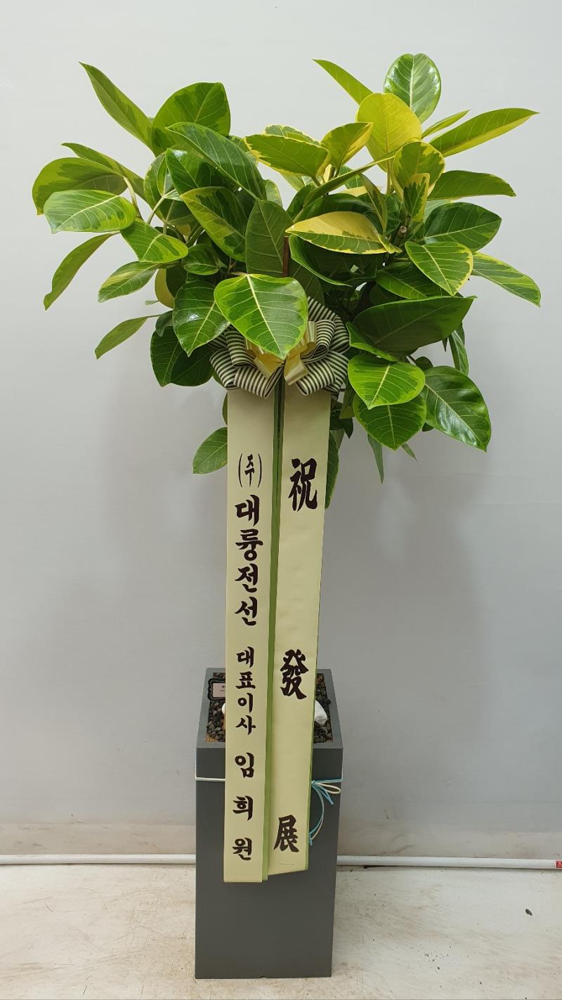 배송사진
