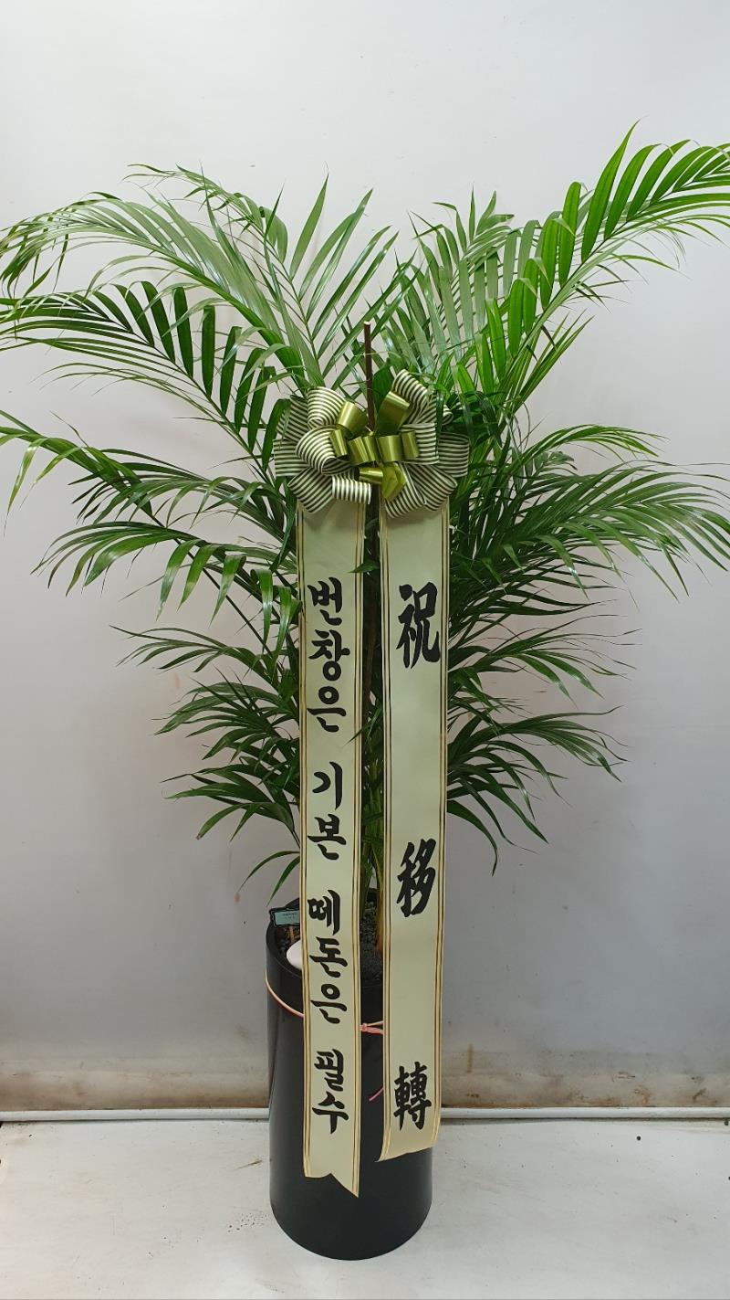 배송사진2