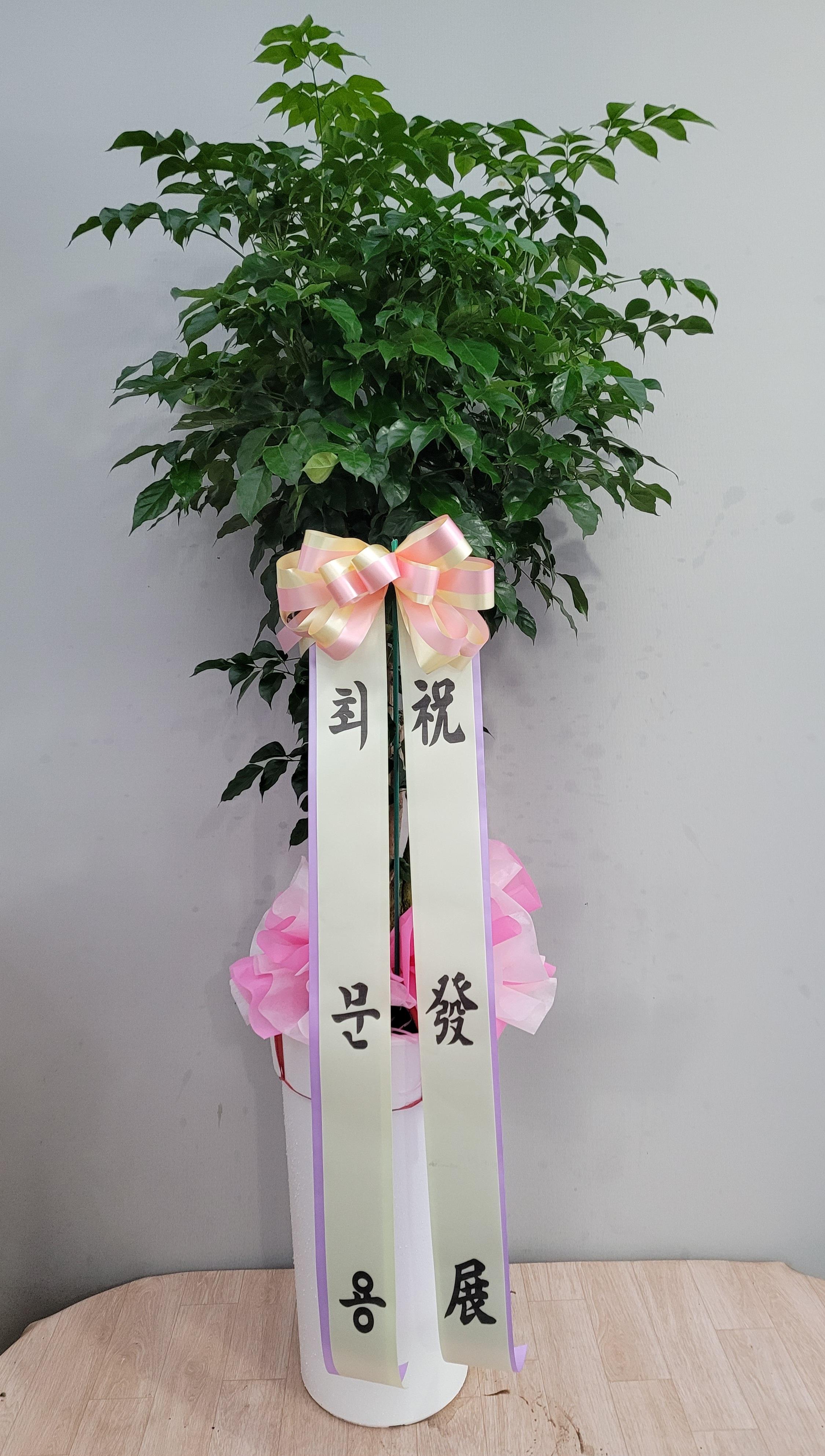 배송사진2