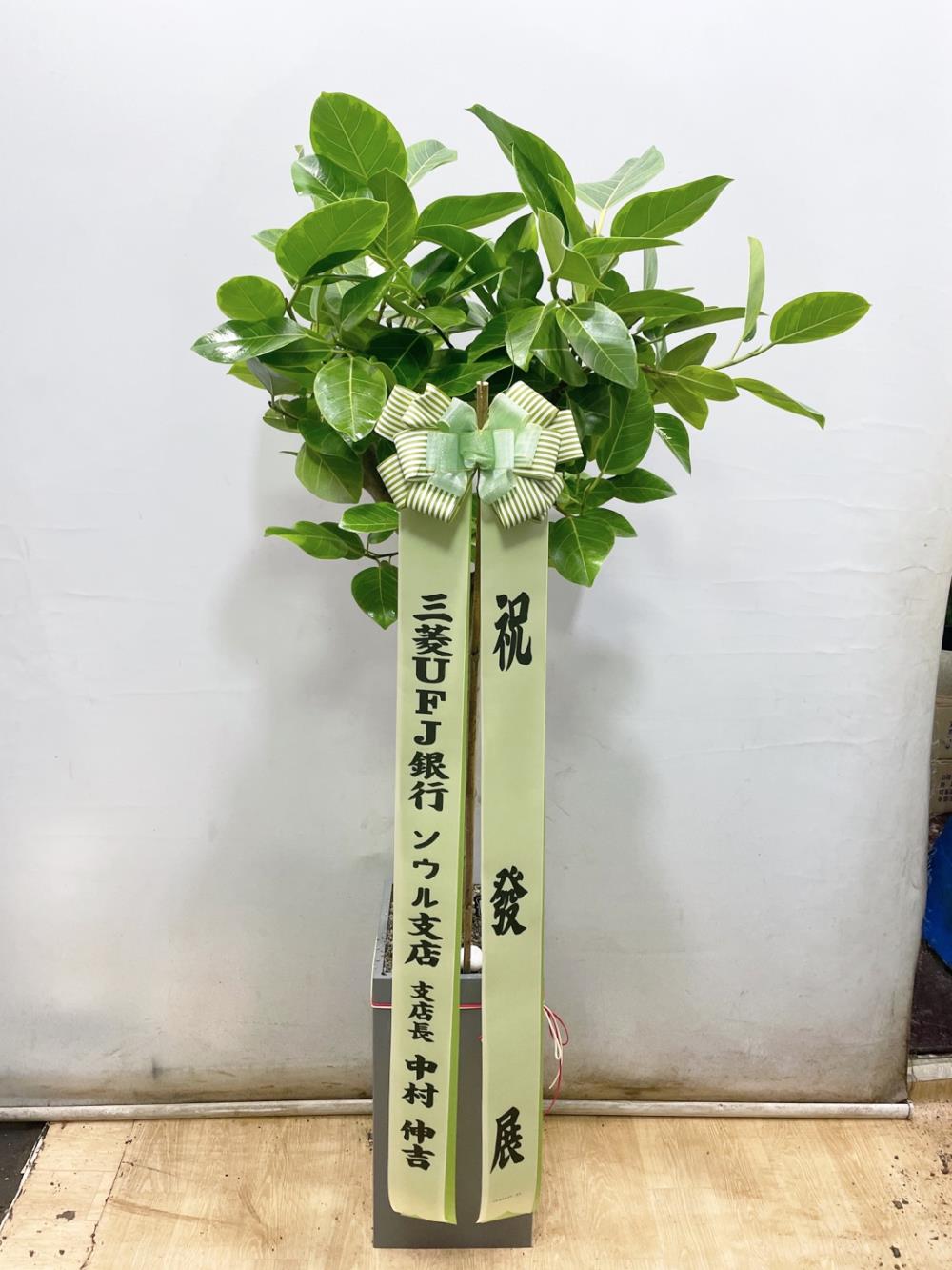 배송사진