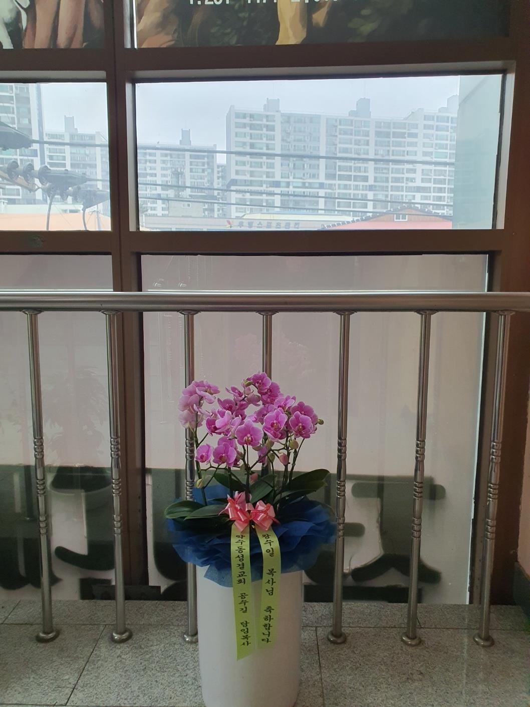 배송사진