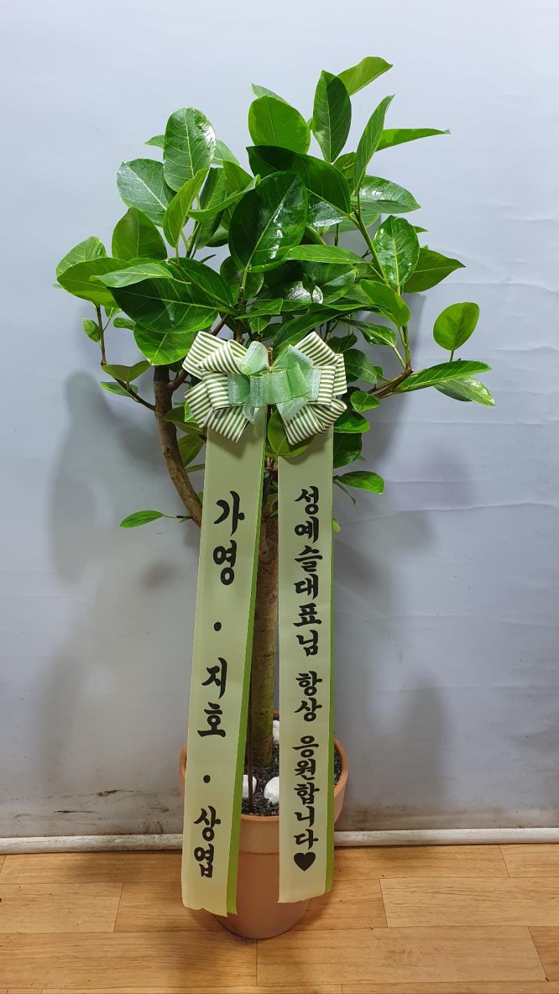 배송사진