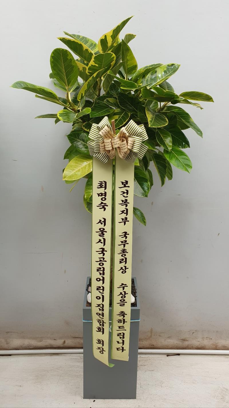 배송사진2