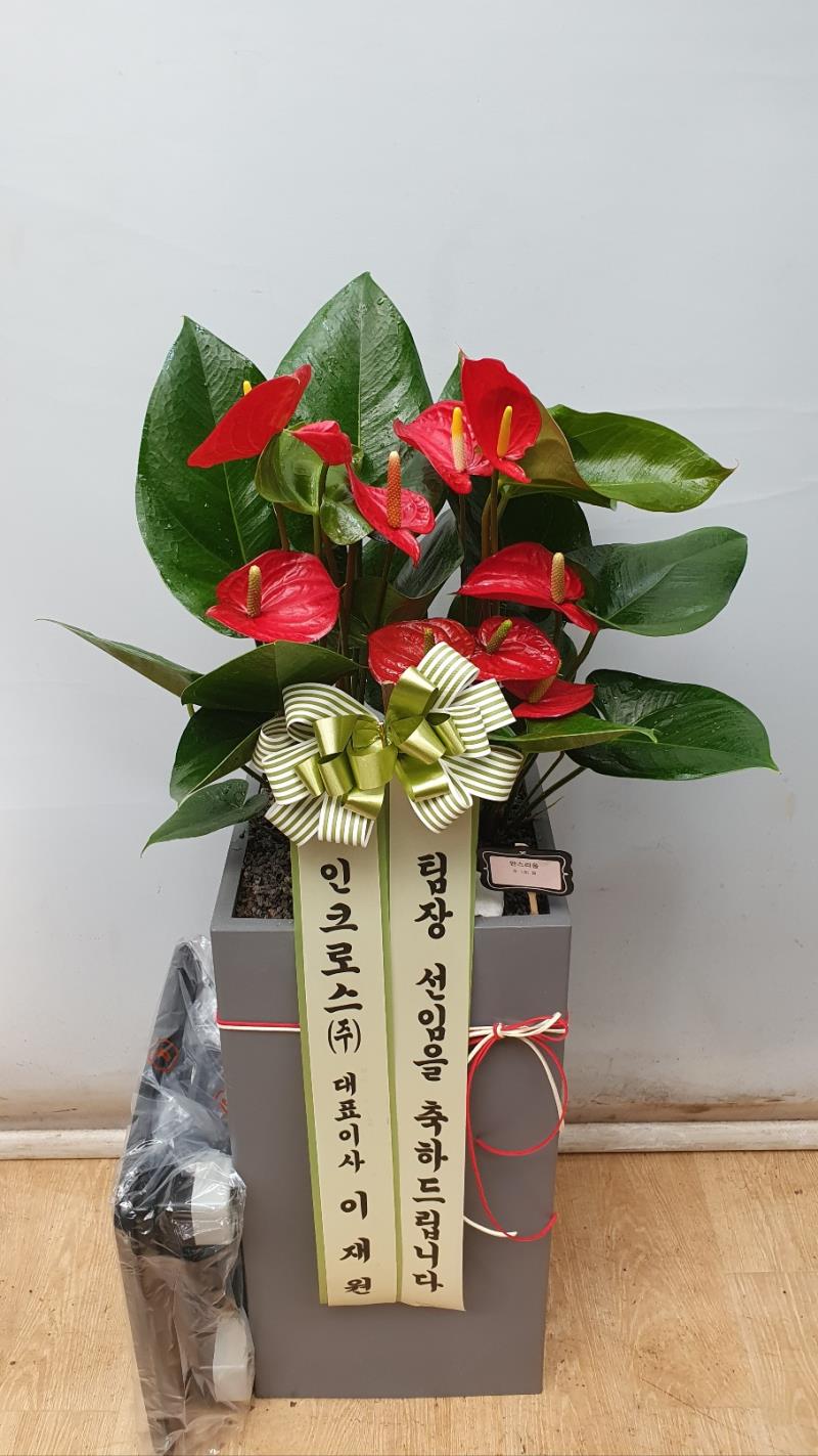 배송사진