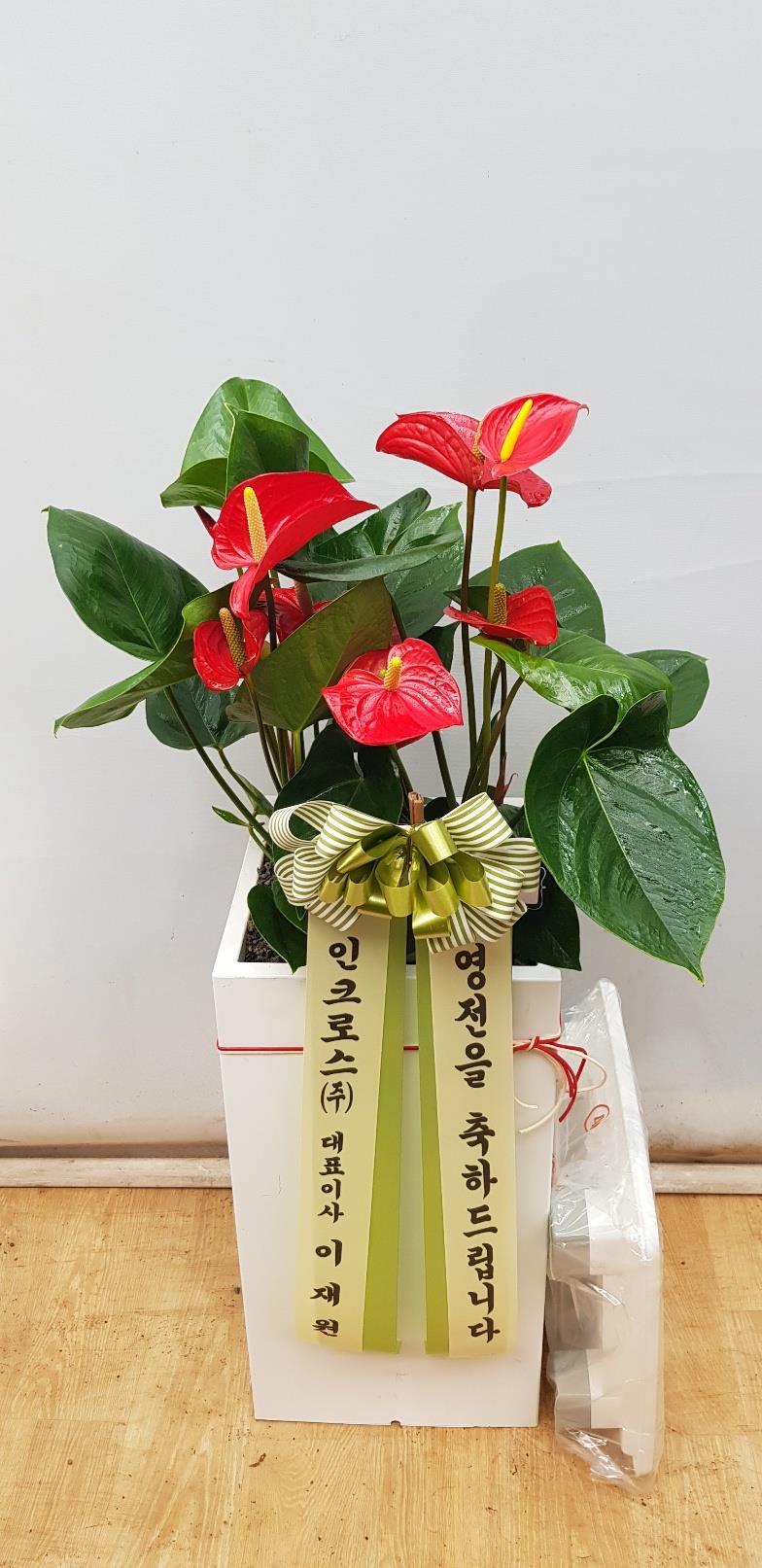 배송사진