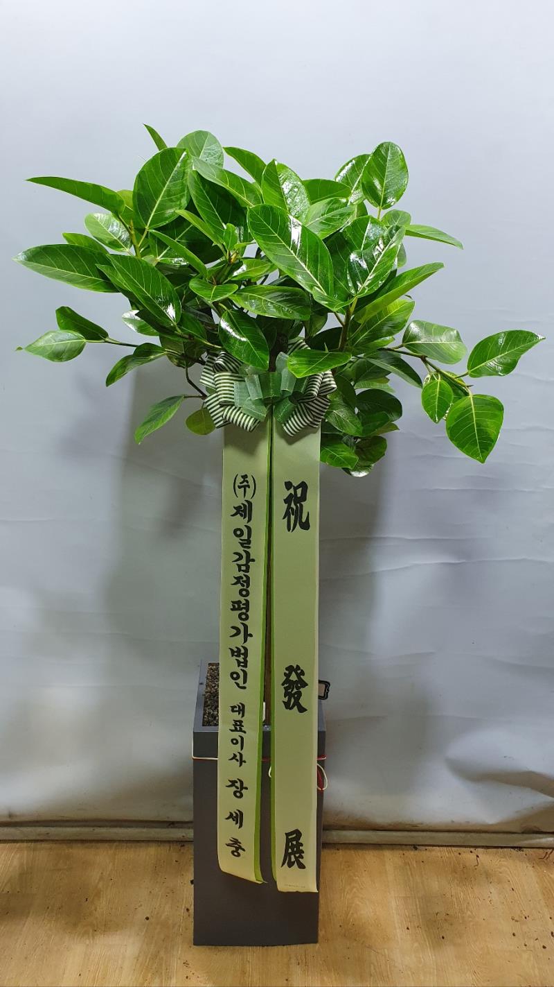 배송사진2