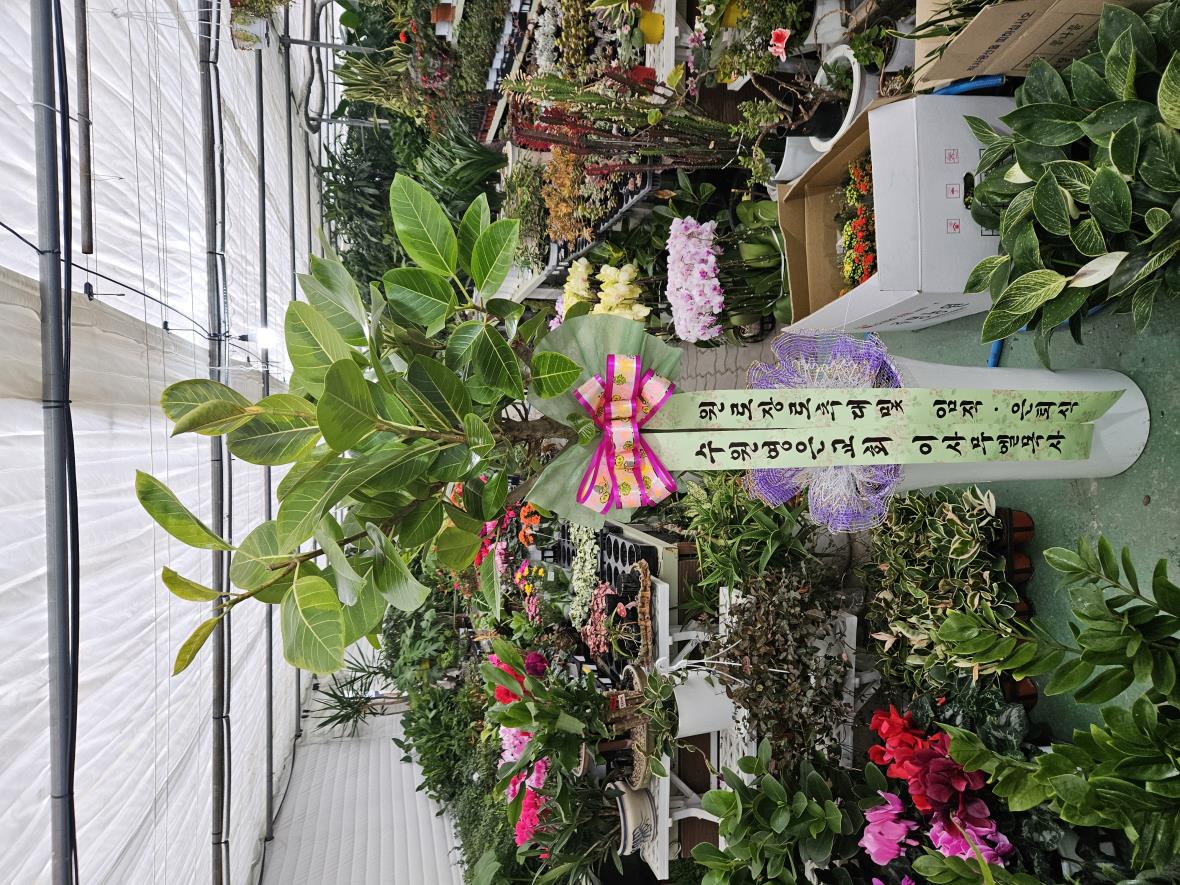 배송사진