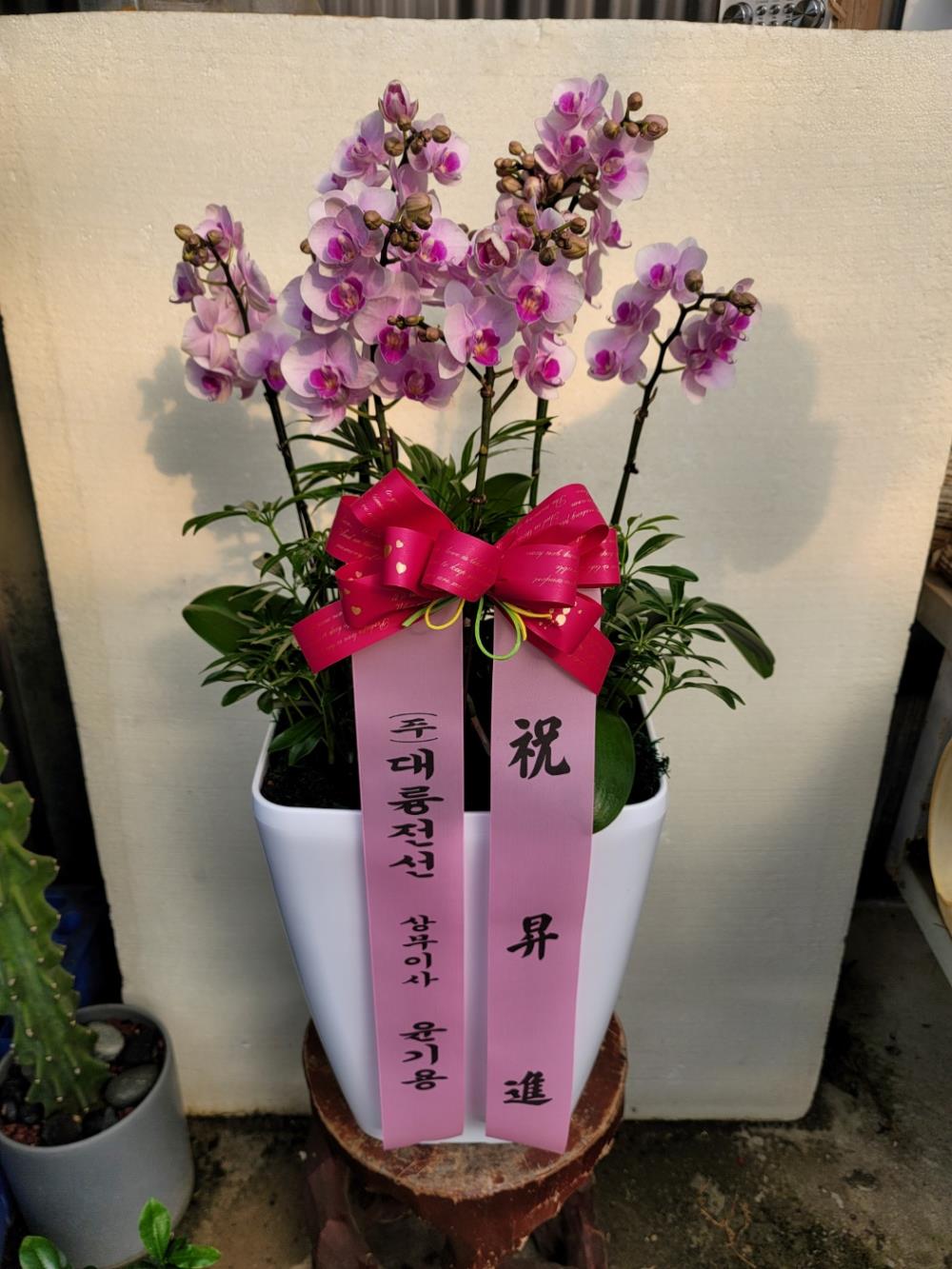배송사진