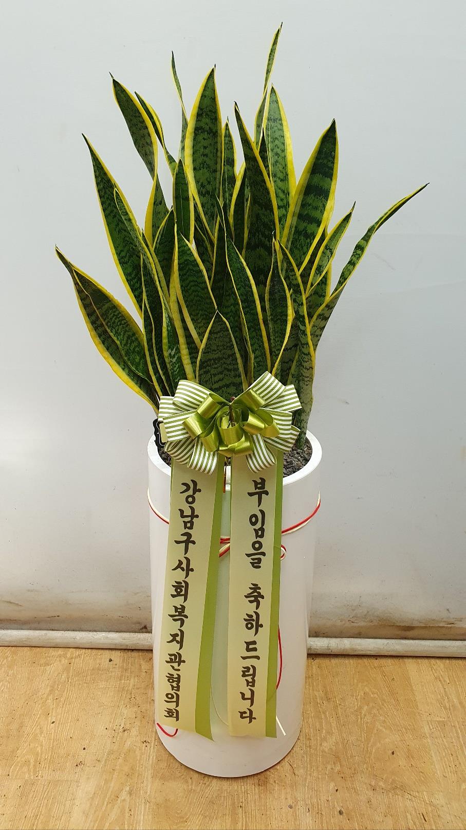 배송사진2