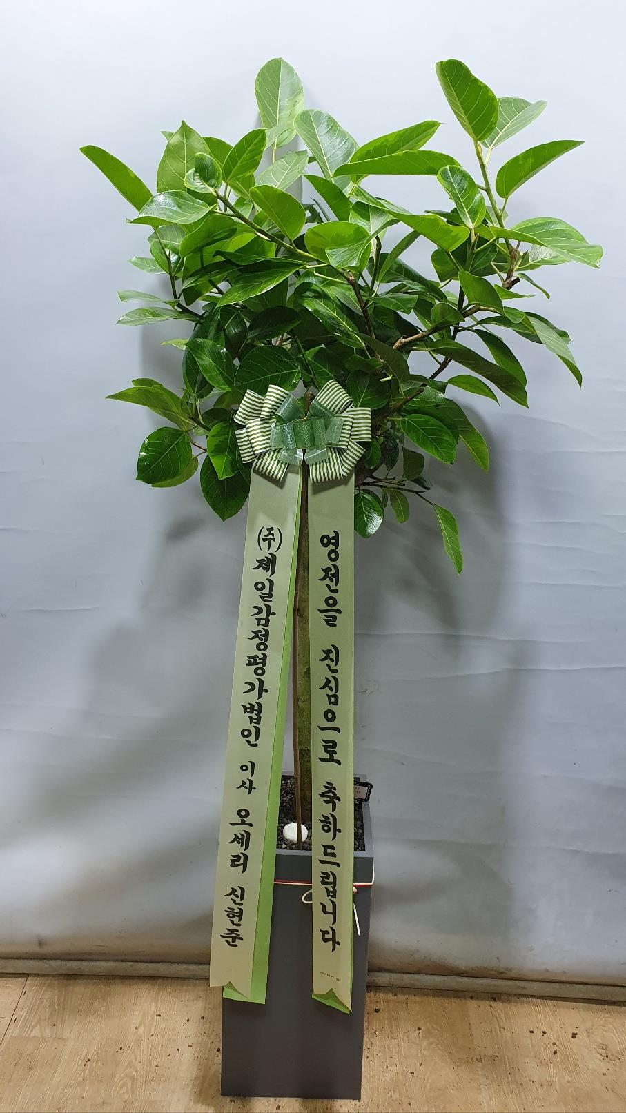 배송사진2