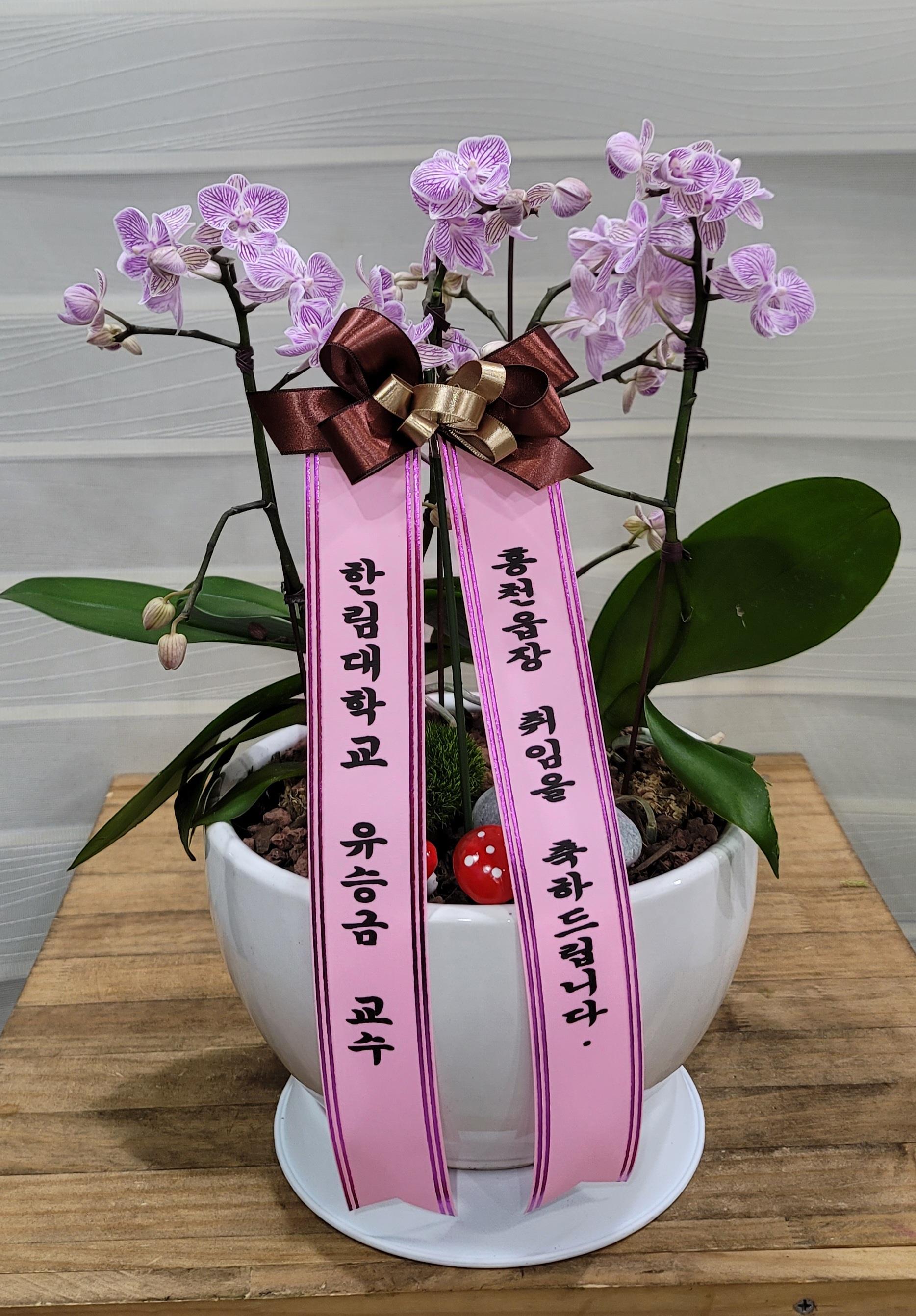 배송사진2
