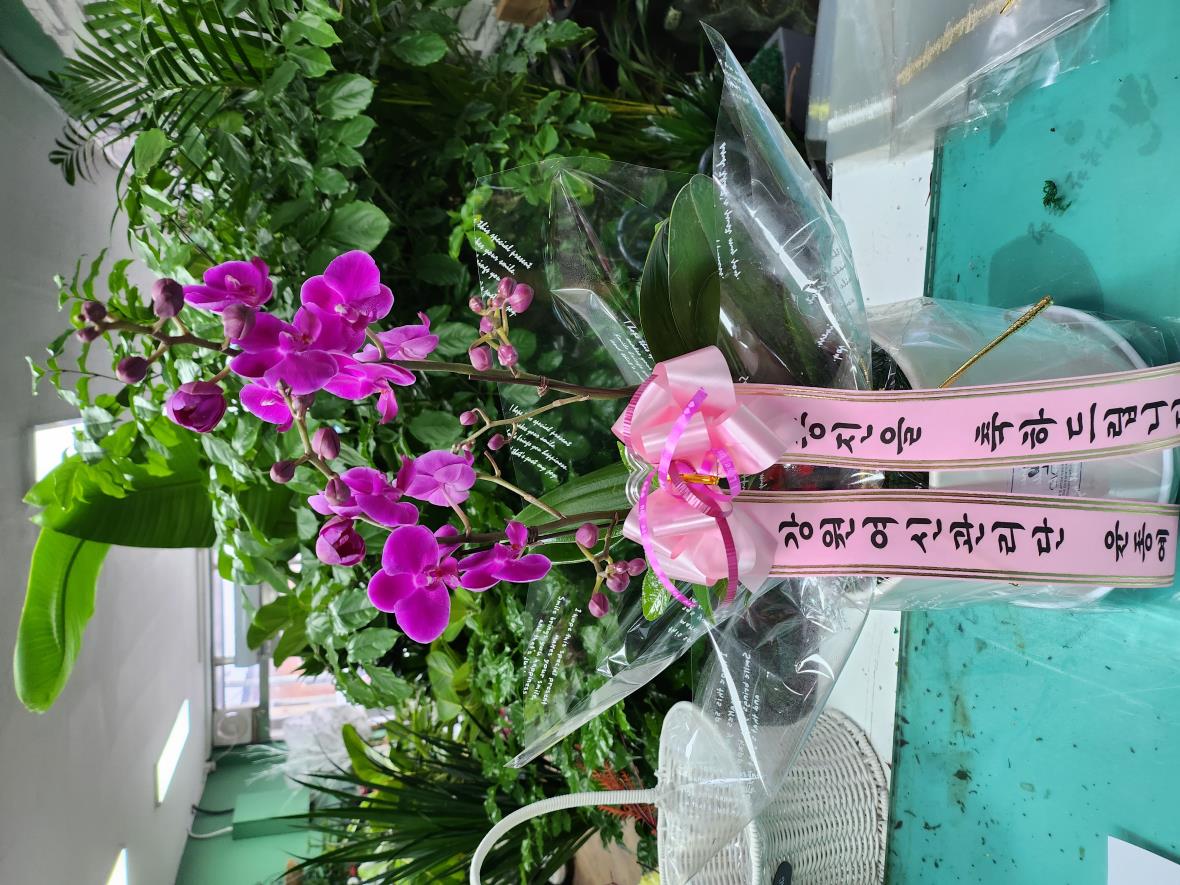 배송사진